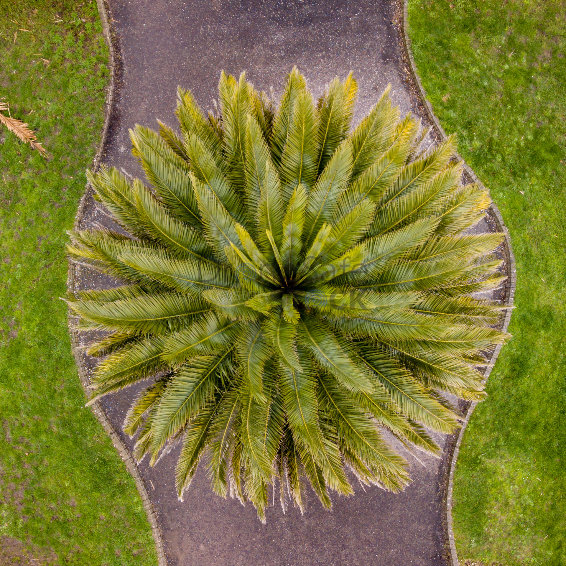 Solent Sky Services™