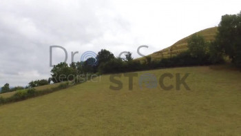 Little Dipper Skyshots