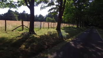 Little Dipper Skyshots