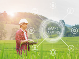 Smart Farming With Drone Crop Surveying