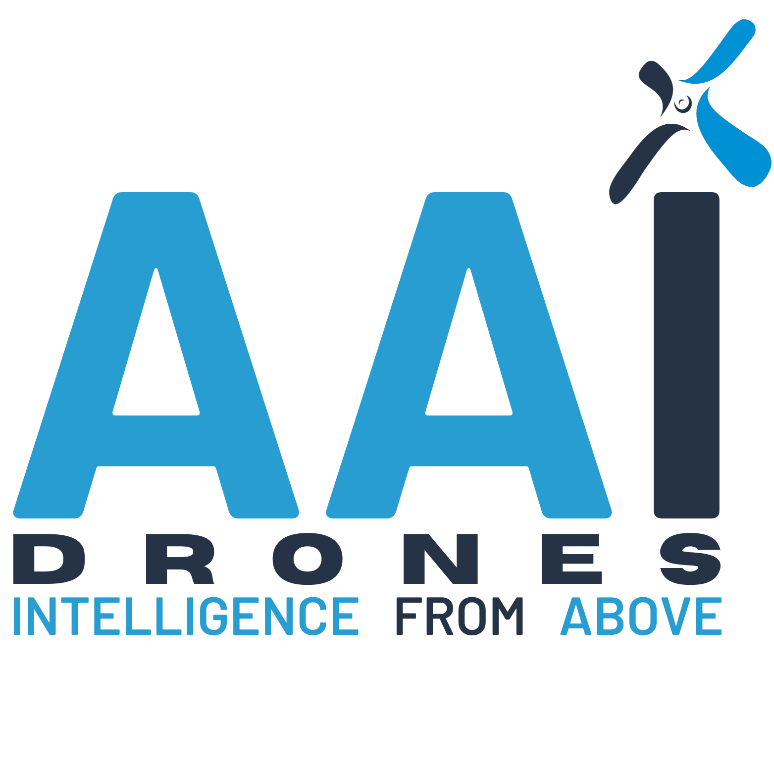 AAI DRONES